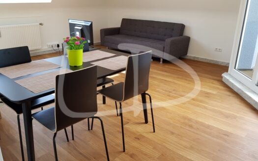 APARTMENT LUXEMBOURG MERL