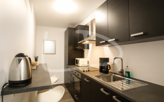 Appartement Luxembourg Merl